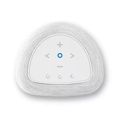 Bluesound Pulse Flex P130 a Ginevra | Digistore.ch